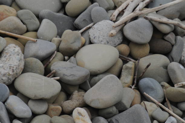 istock Rock in the sand at the beach 1097339910