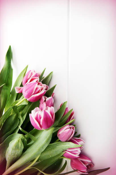 Mother's Day card and a bouquet of beautiful tulips on wooden background. stock photo