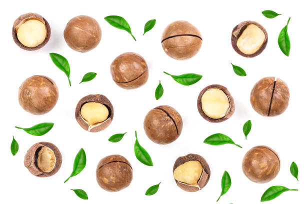 istock Shelled and unshelled macadamia nuts isolated on white background. Top view. Flat lay pattern 1097353234