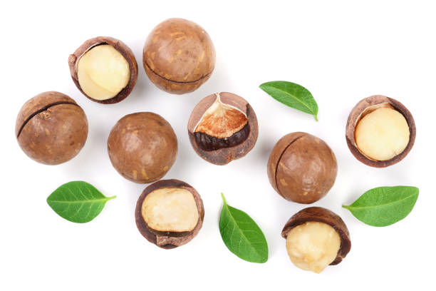 istock Shelled and unshelled macadamia nuts with leaves isolated on white background. Top view. Flat lay pattern 1097353314