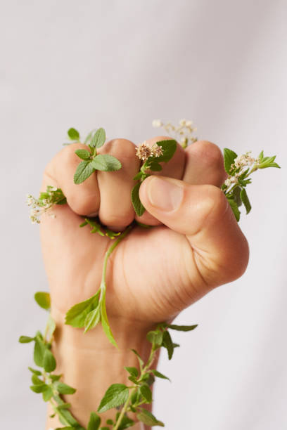 Cropped shot of an unidentifiable woman's hand clenching flowers in a fist in studio