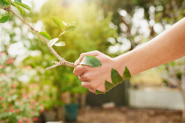 istock Nature can be your friend 1097356336