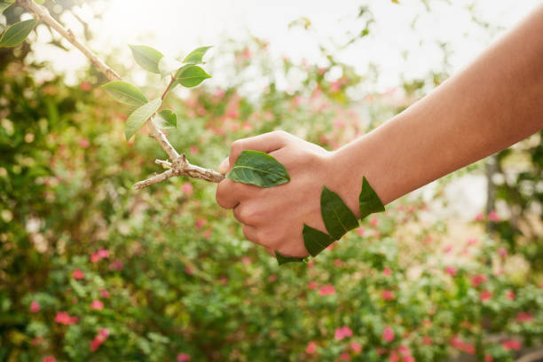 istock Walk hand in hand with mother nature 1097356360