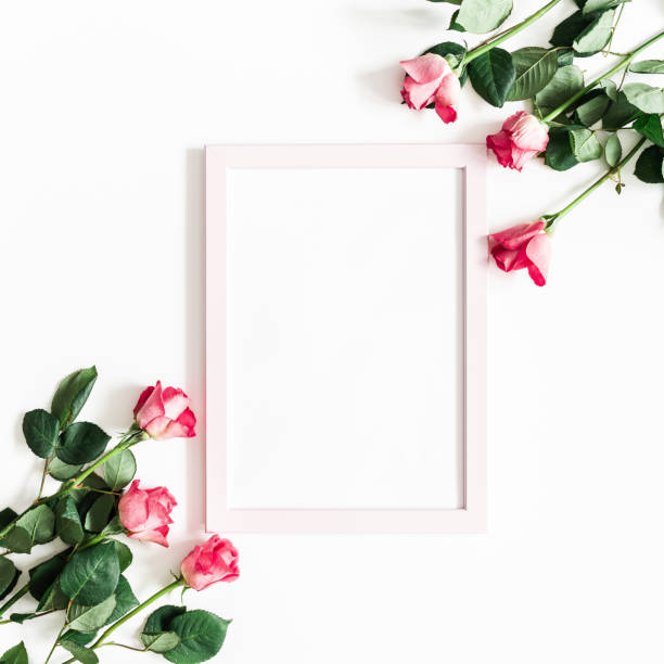 istock Flowers composition. Pink rose flowers, photo frame on white background. Flat lay, top view, copy space, square 1097360568