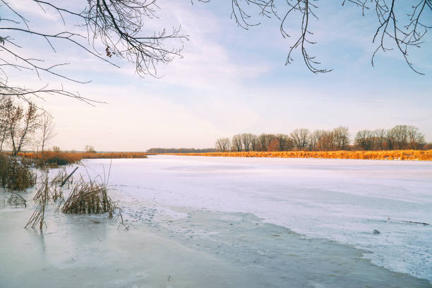istock Frozen river, forest in the distance, dry sedge and blue cloudy sky 1097363538