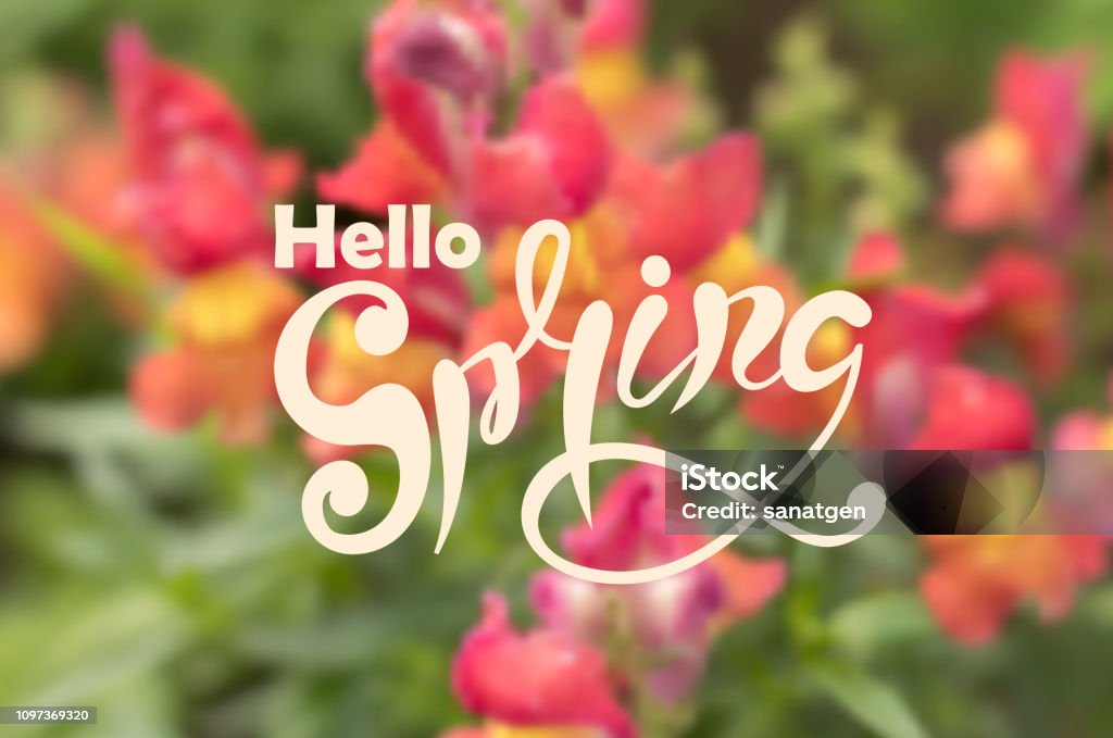 Spring Background Red Spring Background With Beautiful Red Flowers Stock Illustration ...