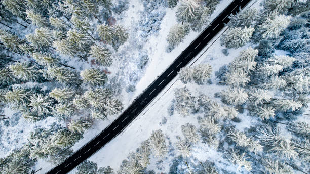 istock Road through the wintery forest - aerial view 1097372472