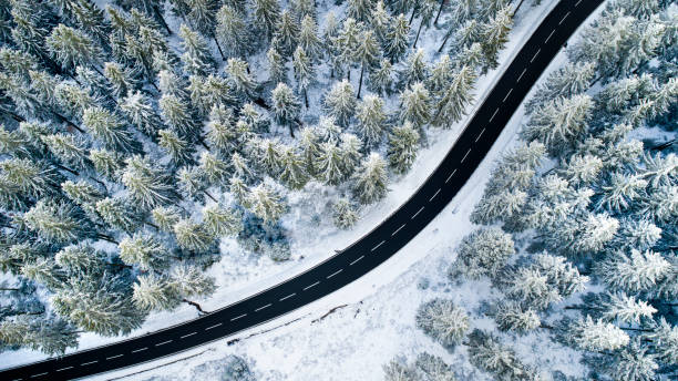 istock Road through the wintery forest - aerial view 1097372582