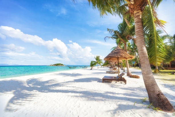 Asian tropical beach paradise in Thailand Empty sunny Koh Lipe Beach with tall palms and beach bungalows ko samui stock pictures, royalty-free photos & images