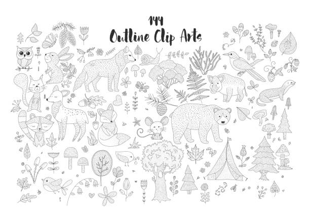 Big Set Of Hand Drawn Forest Illustraitions With Outline Wild Animals Stock  Illustration - Download Image Now - iStock