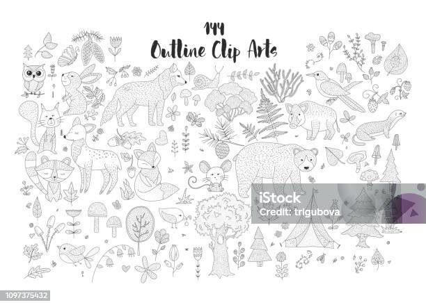 Big Set Of Hand Drawn Forest Illustraitions With Outline Wild Animals Stock Illustration - Download Image Now