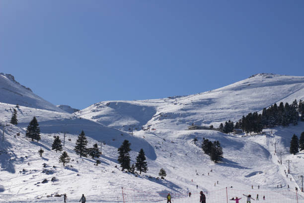 istock ski resort lane with snowboarders doing sports 1097375644