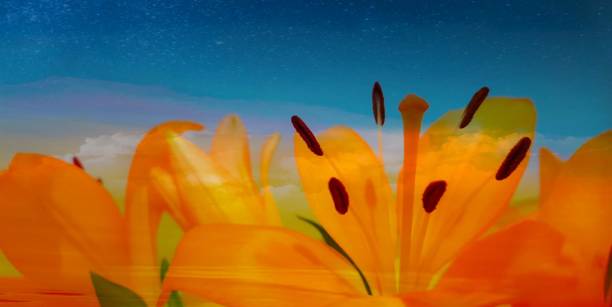 istock Blue background with floral motif and copy space 1097376204