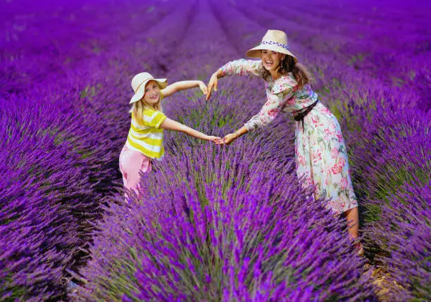 happy young mother and daughter making heart with hands in lavender field in Provence, France. extremely picturesque lavender field in full bloom beckon to make creative photos for social profile