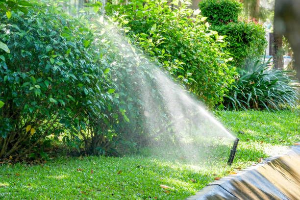istock Springer water system in the garden 1097393272