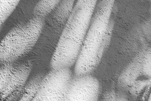 istock Black and White abstract background textuer of shadows leaf on a concrete wall 1097393338