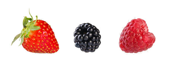 istock Collection of mixed berries. 1097394766