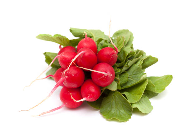 istock bunch of red radish isolated 1097396296