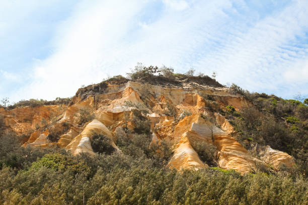 istock Gold-shining Pinnacles on Fraser Island next to Seventy Five Mile Beach (Queensland, Australia) 1097398582