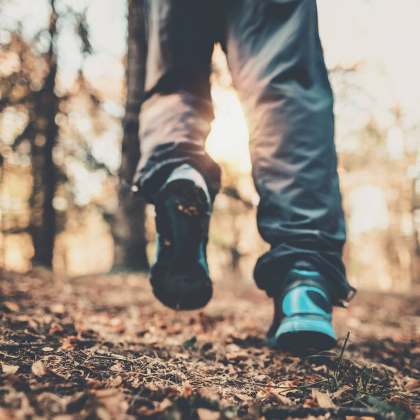 istock Senior couple jogging in a forest 1097398968