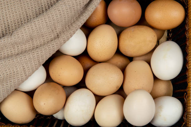 istock Top view of chicken eggs in a basket 1097402024
