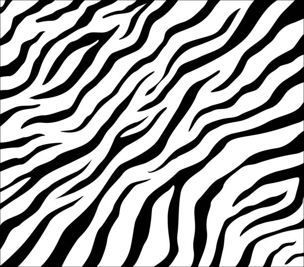 배경 벡터 얼룩말 패턴 - tiger stock illustrations