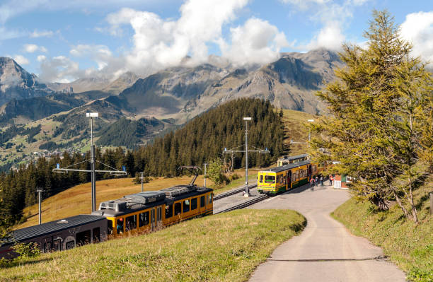 zug im tal - jungfrau train winter wengen stock-fotos und bilder