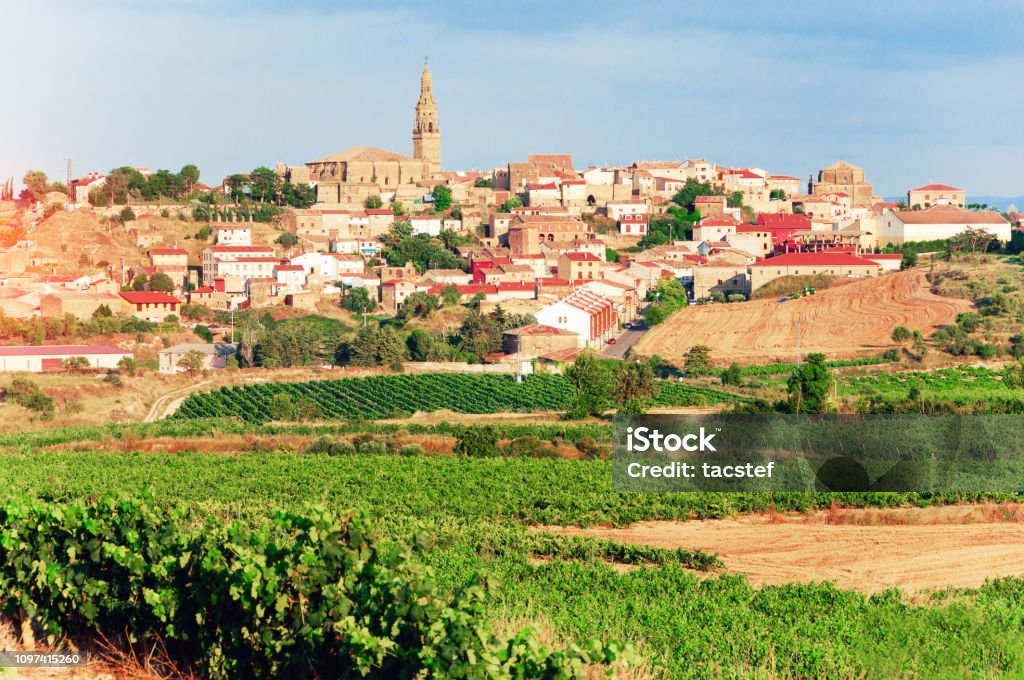 La Rioja. Spanien. Weinberge und herrliche Aussicht auf die antike Stadt Briones. - Lizenzfrei Rioja Stock-Foto