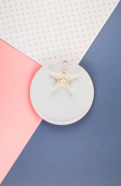 istock Plate with seashells on color paper background 1097423042