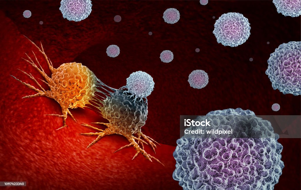 Cancer Immunotherapy Cancer Immunotherapy as a human immune system therapy concept as a biomedical or biomedicine oncology treatment using the natural T cell fighting properties of the body as a 3D render. Cancer Cell Stock Photo