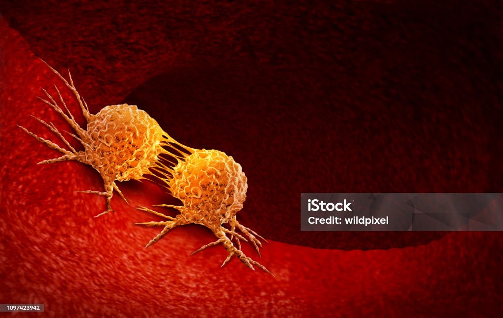 Cancer Cell Dividing Cancer cell dividing and treatment for malignant cancer cells in a human body caused by carcinogens and genetics with a cancerous cell as an immunotherapy symbol and medical therapy as a 3D illustration. Cancer Cell Stock Photo