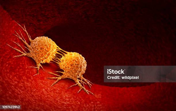 Cancer Cell Dividing Stock Photo - Download Image Now - Cancer Cell, Cancer - Illness, Tumor
