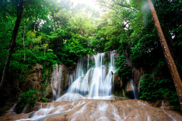 foto de paisaje cascada saiyok, increíble cascada en el bosque del otoño maravilloso, hermosa cascada en la selva en la provincia de kanchanaburi, tailandia - kanchanaburi province fotos fotografías e imágenes de stock
