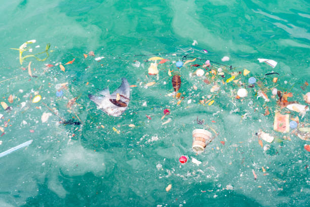 istock Plastic and waste in ocean is making water pollution 1097424532