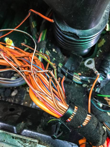istock rodent damage to car wiring 1097431504