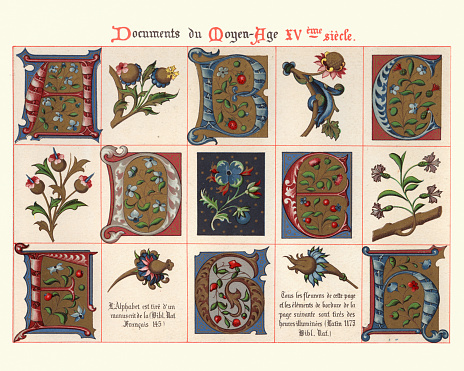 Vintage engraving of Examples of Medieval decorative art from illuminated manuscripts 15th Century. Capital letters and floral design elements