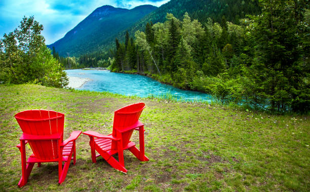 chair in the middle of nature