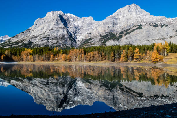 istock Rockies from Wedge Pond under late fall colours, Spray Valley Provincial Park 1097443070