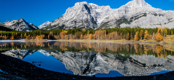 istock Rockies from Wedge Pond under late fall colours, Spray Valley Provincial Park 1097443072