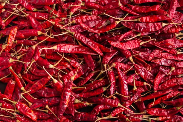 Dry red chili peppers background photo
