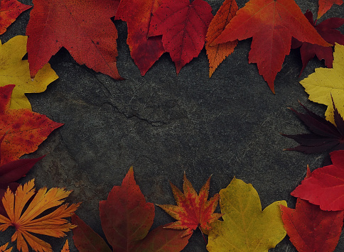Fall foliage leaves border on dark stone background