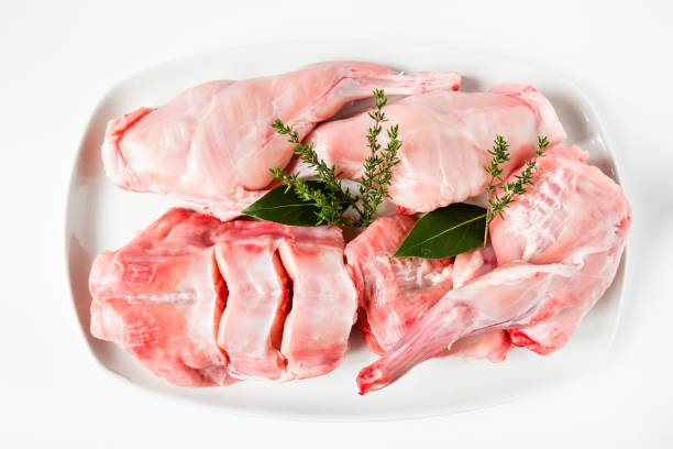 Top view fresh leg raw rabbit 's meat cutting ready for cooking in pieces put on white dish,carrott, garlic, branch of thyme and herbes,  white background , ingredient concept. stock photo