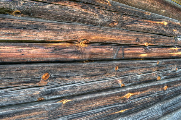 istock texture of wood log wall, in the extended Dynamic Range 1097451562