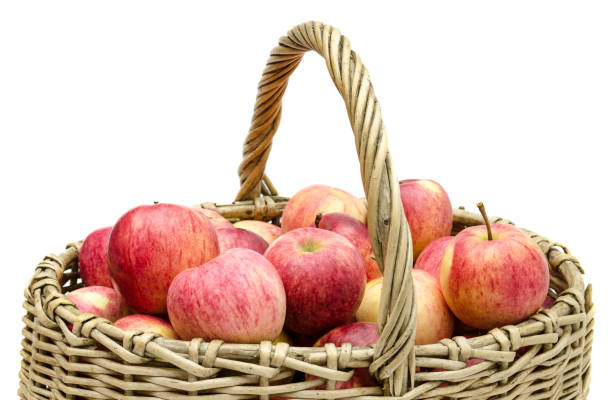 istock basket of willow twigs with ripe red apples 1097451800