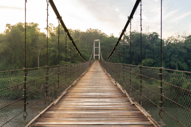 istock soft focus Wooden Bridge along the river to green forest 1097452396