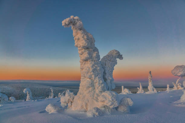 istock Winter landscape with snow covered trees in winter forest. 1097455716