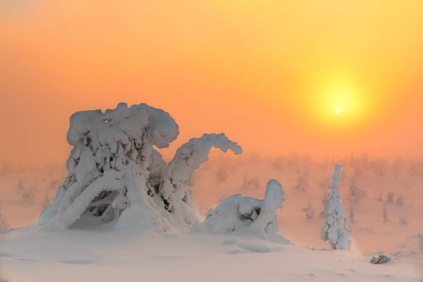 istock Winter landscape with snow covered trees in winter forest. 1097455730