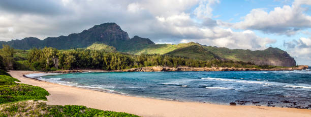 панорама пляжа махаулепе - mahaulepu beach стоковые фото и изображения