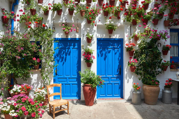Festival of the Patios in Andalusia Blue patio doors with flower pots hanging on the white wall in Cordoba, Spain in sunny day. The time of Festival de los Patios. courtyard stock pictures, royalty-free photos & images