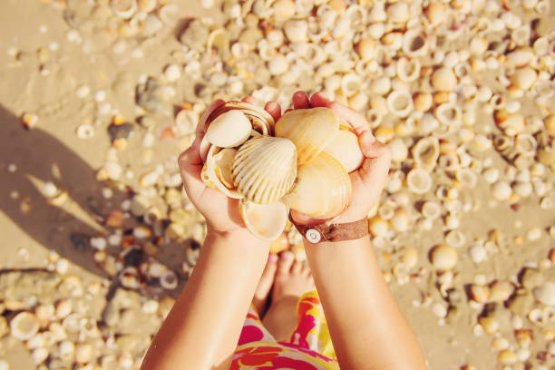 istock Shells and starfish on the sea. summer photo. selective focus. 1097467366
